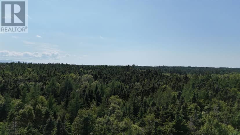 0 Crabbs River Road — photo 9 of 11