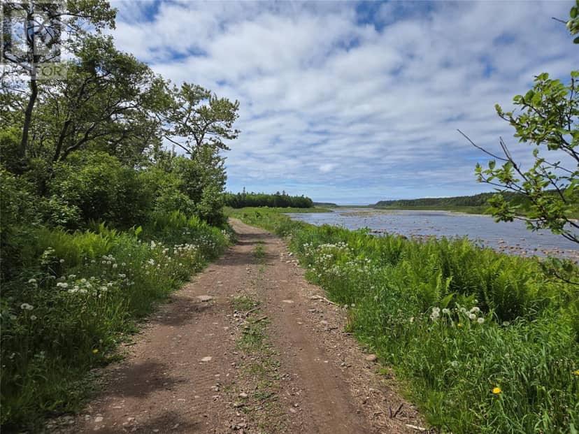 0 Crabbs River Road — photo 4 of 11