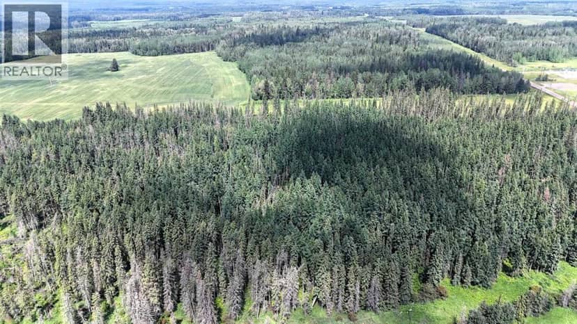 NE-28-53-13-W5, Rural Yellowhead County, photo 8