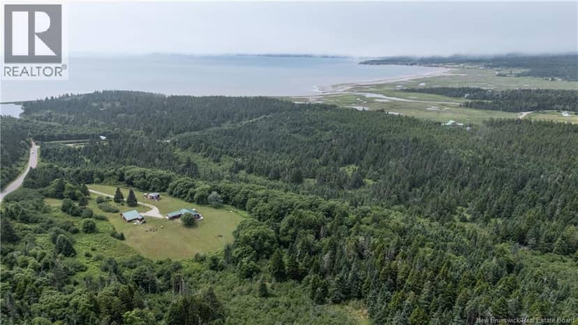279 Cape Enrage Road — photo 5 of 40