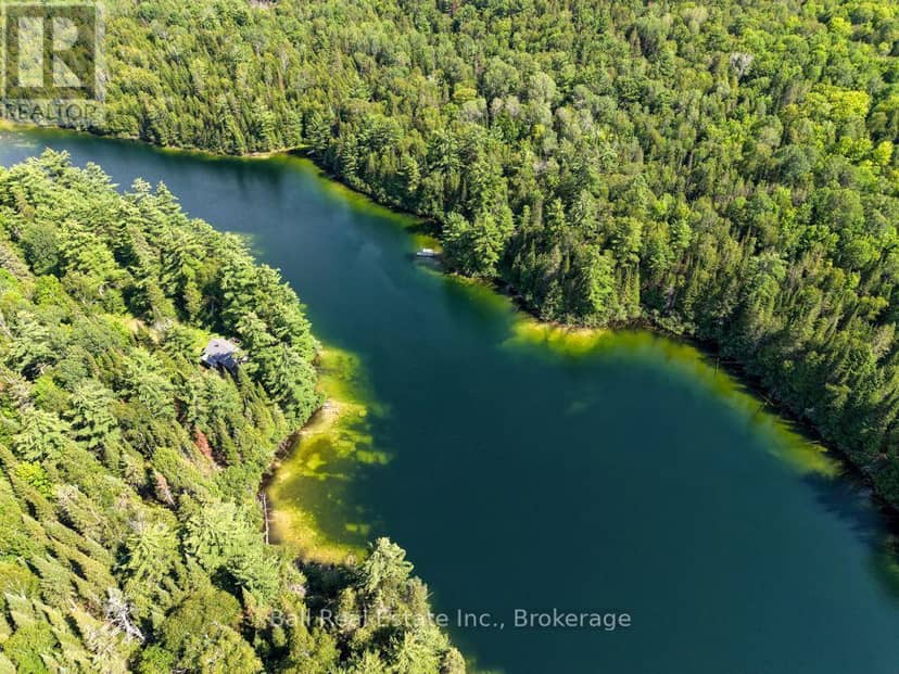 382 Old Detlor Road, Bancroft, photo 4