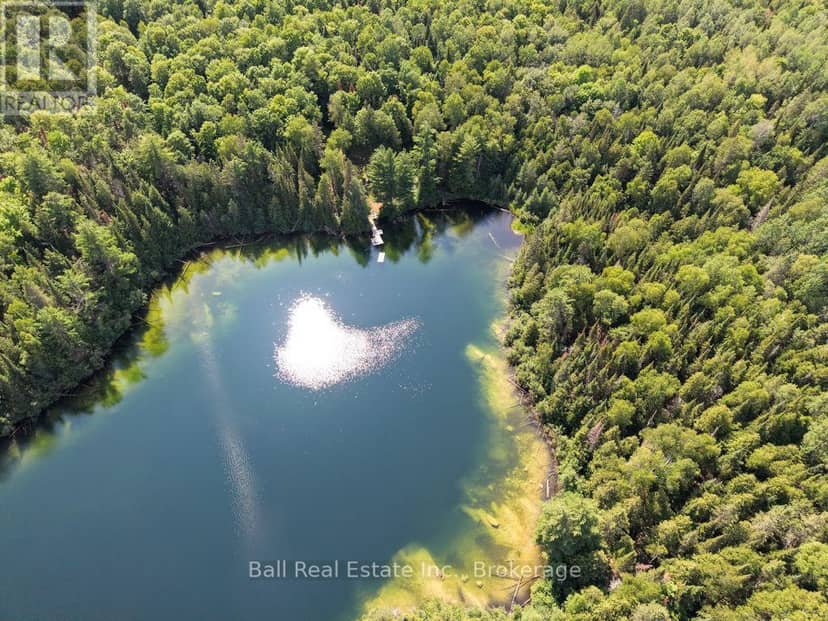 382 Old Detlor Road, Bancroft, photo 6