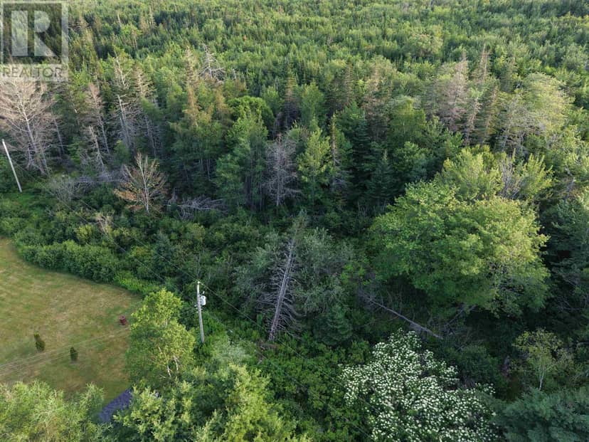 13713 Highway 316 — photo 9 of 11