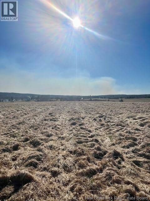 Lot 21-04 Big K Ranch Lane — photo 17 of 20