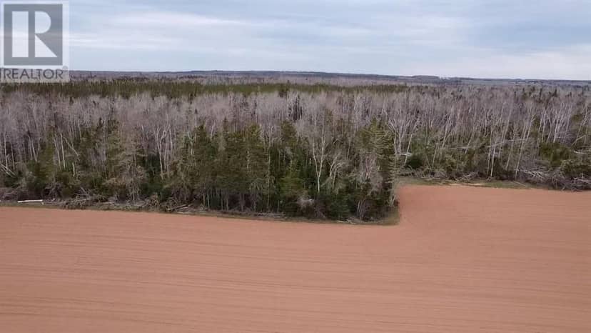 Acreage Church Road, Rte 331 — photo 2 of 5