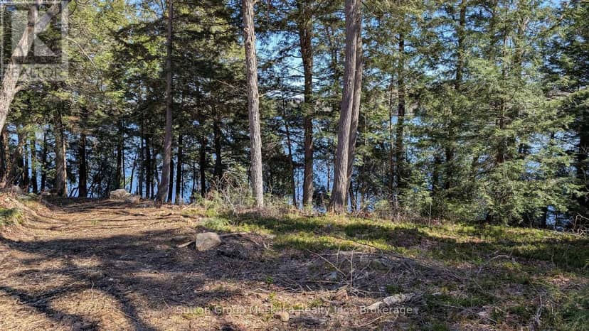 Lot 1 Esig Lane, Lake of Bays, photo 3