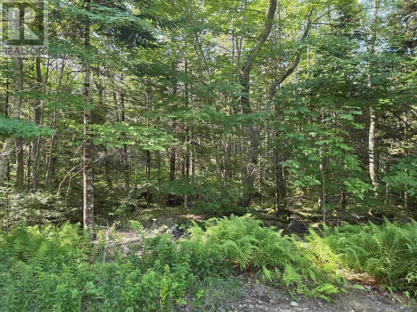 48 Lake Mulgrave Road — photo 9 of 26