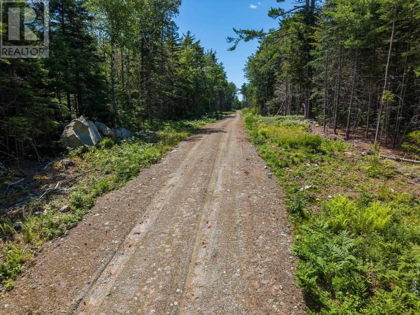 Lot 5, Boutilier Branch Road — photo 10 of 22