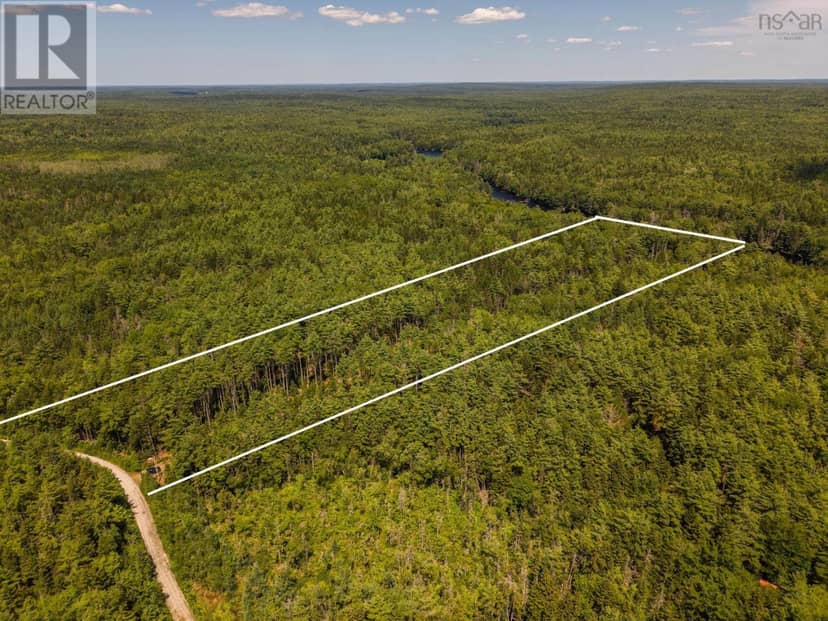 Lot 5, Boutilier Branch Road — photo 1 of 22