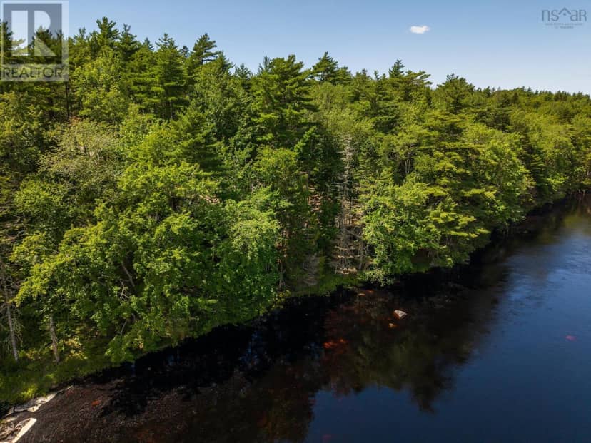 Lot 5, Boutilier Branch Road — photo 4 of 22