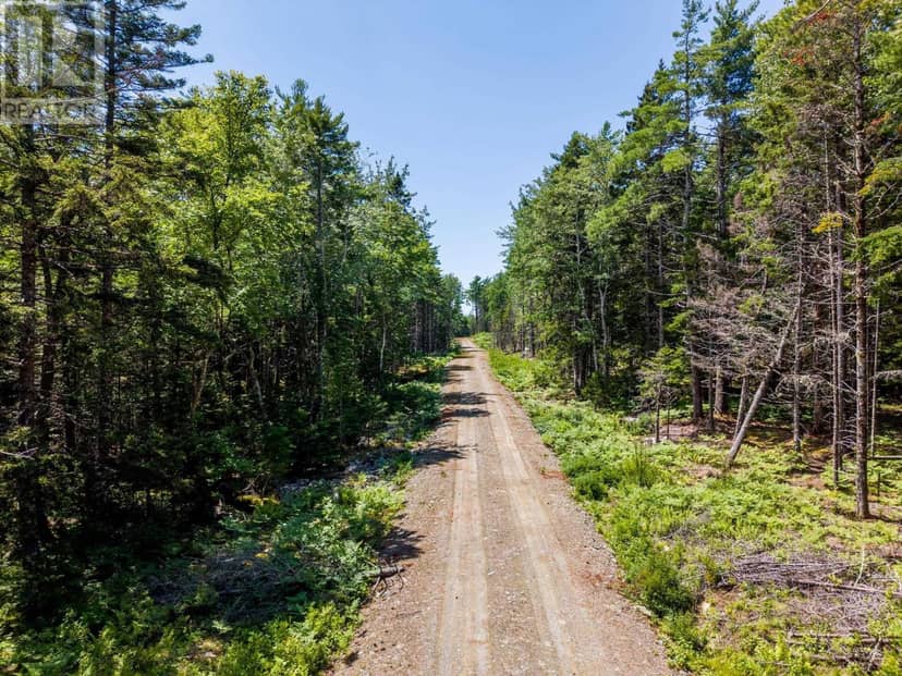 Lot 5, Boutilier Branch Road — photo 9 of 22