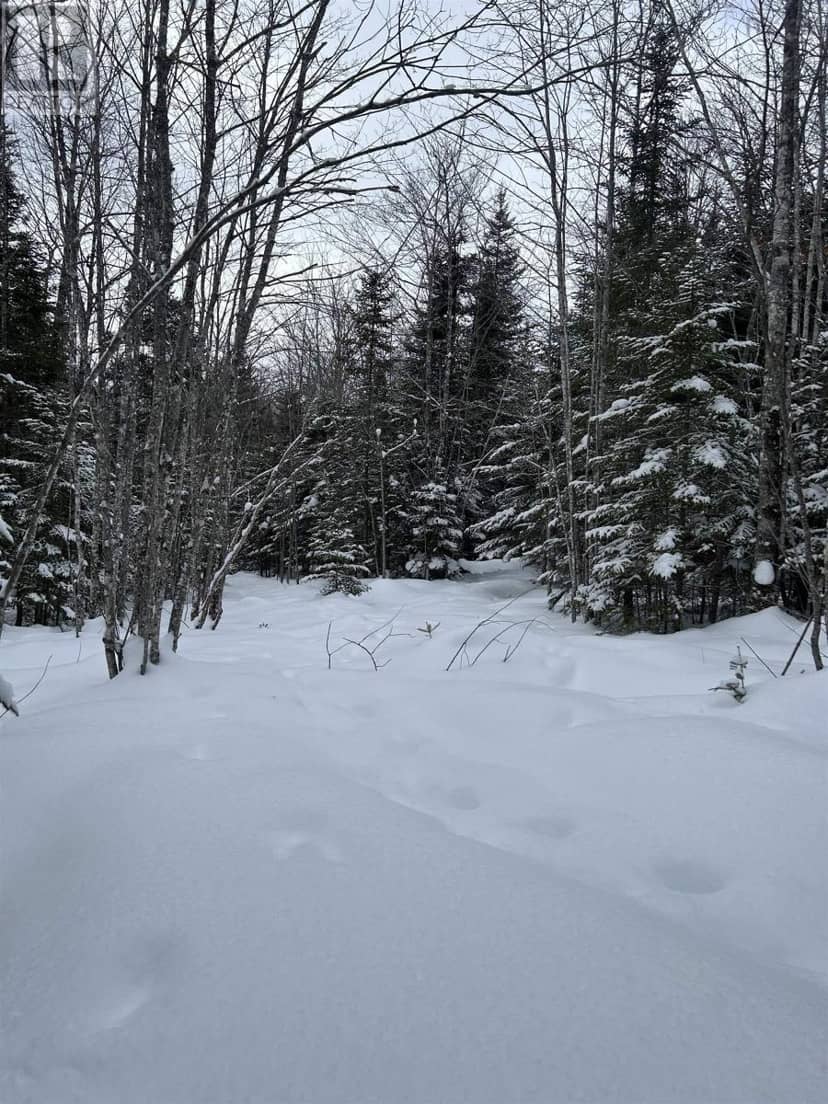 Lot 1 Highway 289, Middle Stewiacke, photo 4