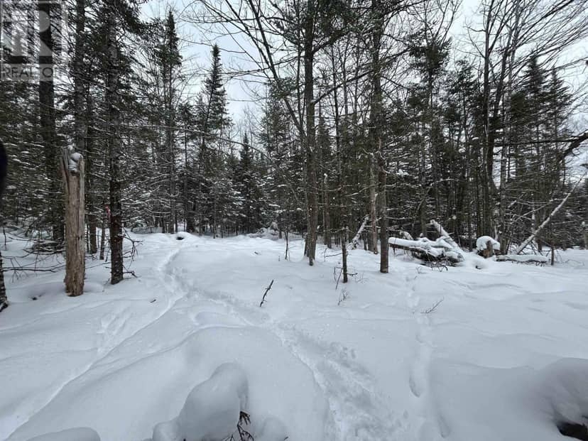 Lot 2 Highway 289 — photo 4 of 6