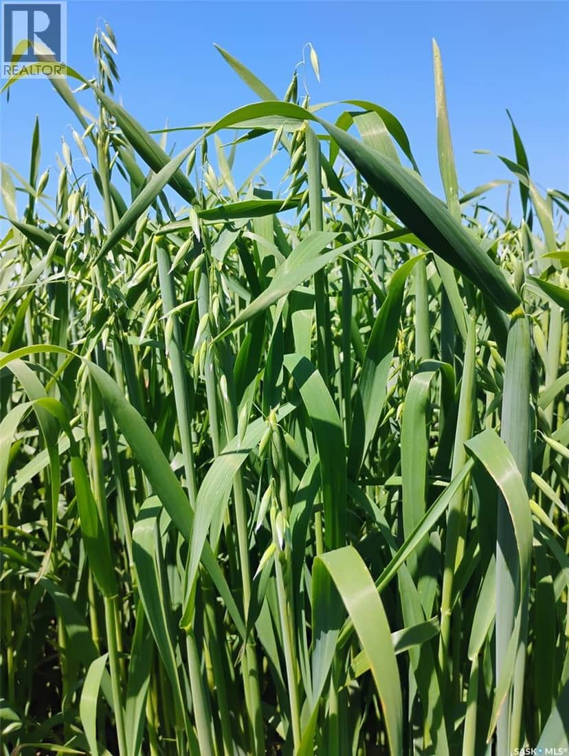 Tyvan Farm — photo 3 of 40