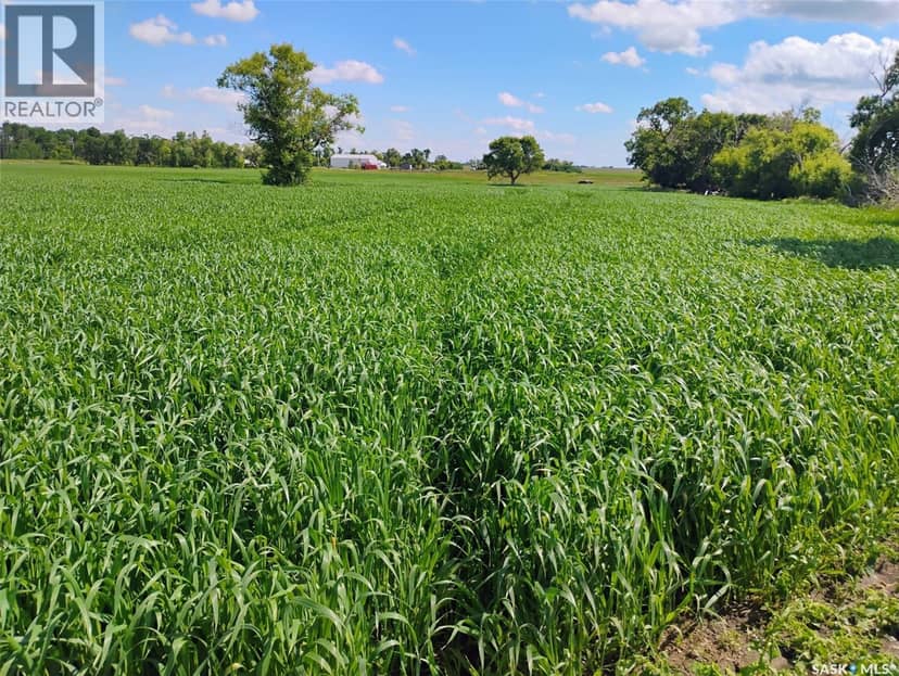 Tyvan Farm — photo 5 of 40