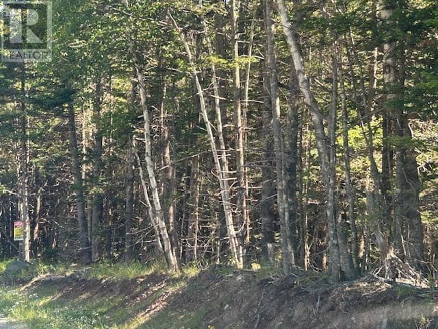 Lot 4 890 West Side Loch Lomond Road, Loch Lomond, photo 2