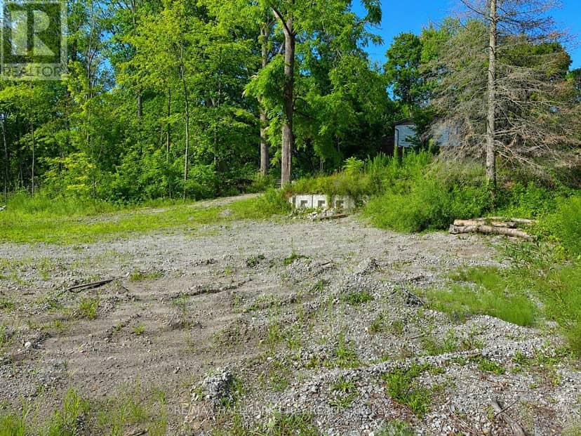 241 Mountain Avenue, Tay, photo 7