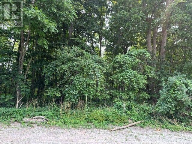 2728 25th Side Road — photo 3 of 7