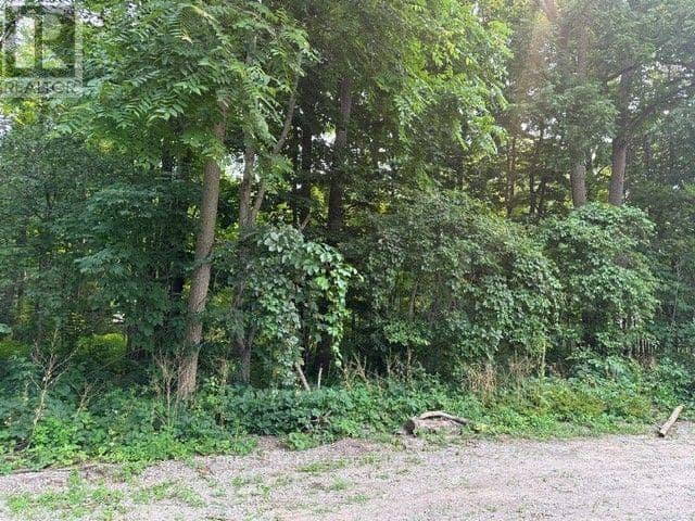 2728 25th Side Road — photo 5 of 7