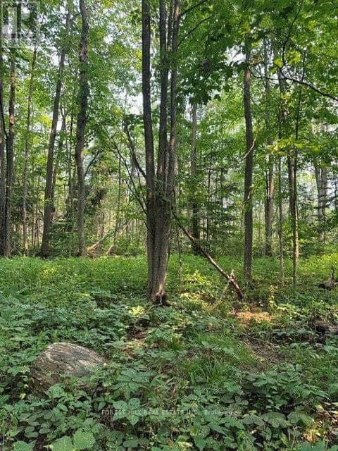 2728 25th Side Road — photo 7 of 7