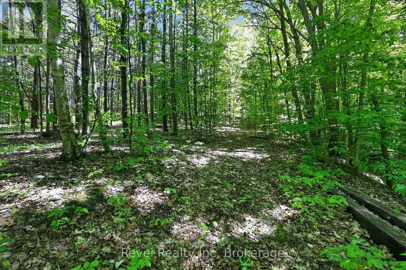 2391 Rumney Road — photo 21 of 31