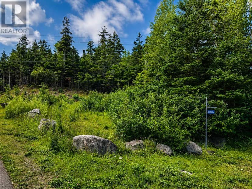 Lot 4 Highway 104 — photo 2 of 9