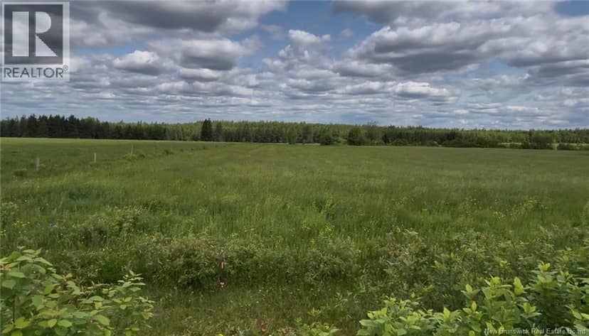24 Harrington Road, Steeves Mountain, photo 5