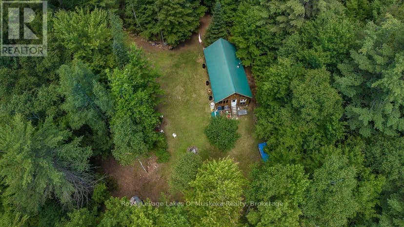 1101 Langford Road, Lake of Bays, photo 2