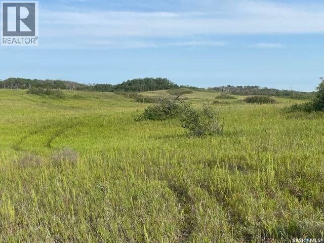 21 Acres Willow Cres Pike Lake Area — photo 10 of 25