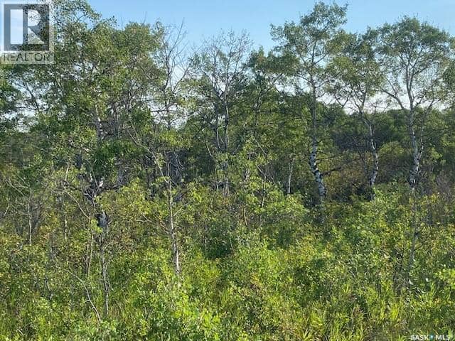 21 Acres Willow Cres Pike Lake Area — photo 13 of 25