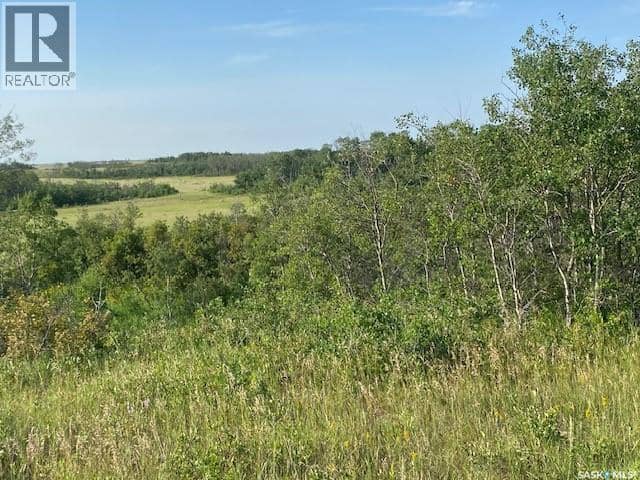 21 Acres Willow Cres Pike Lake Area — photo 14 of 25