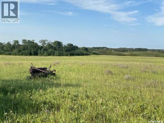21 Acres Willow Cres Pike Lake Area — photo 16 of 25