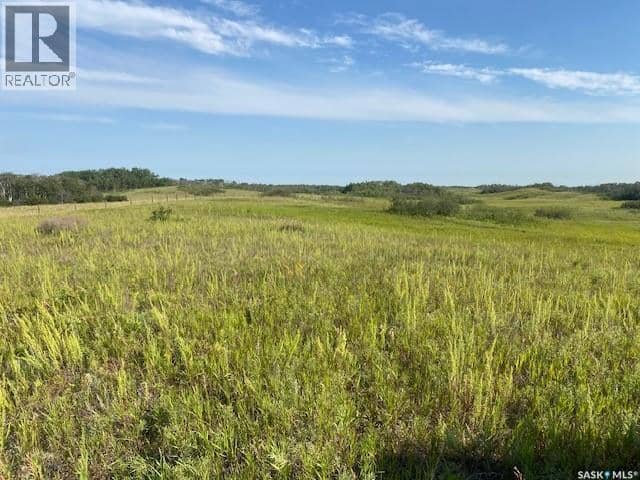 21 Acres Willow Cres Pike Lake Area — photo 17 of 25