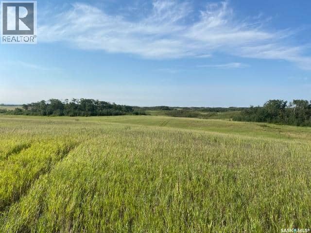 21 Acres Willow Cres Pike Lake Area — photo 18 of 25