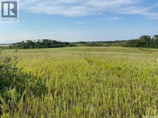 21 Acres Willow Cres Pike Lake Area — photo 21 of 25