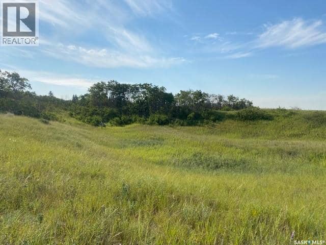 21 Acres Willow Cres Pike Lake Area — photo 9 of 25