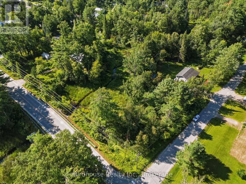 0 King Street, Kawartha Lakes, photo 3