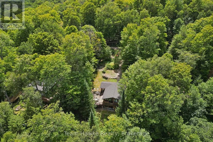3359 Maple Ridge Road, Algonquin Highlands, photo 3