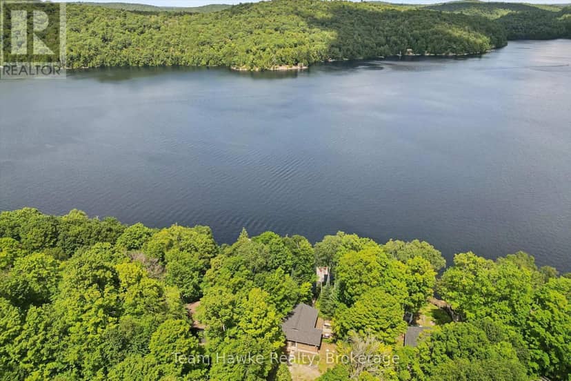 3359 Maple Ridge Road, Algonquin Highlands, photo 4
