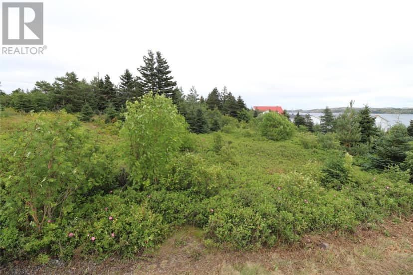 16 Hardings Lane, Bay Roberts, photo 2