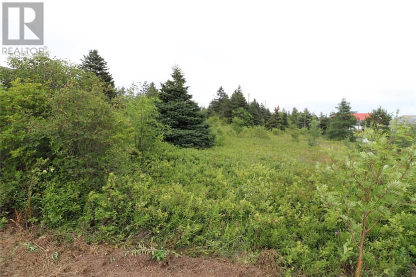 16 Hardings Lane, Bay Roberts, photo 3