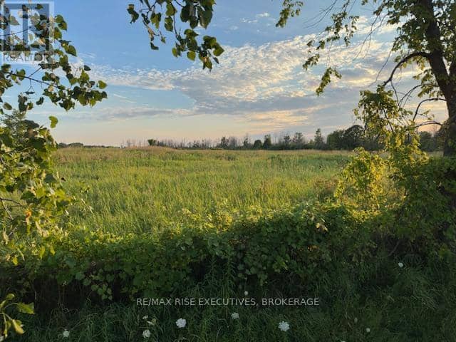 3878 County Rd 8 — photo 3 of 8