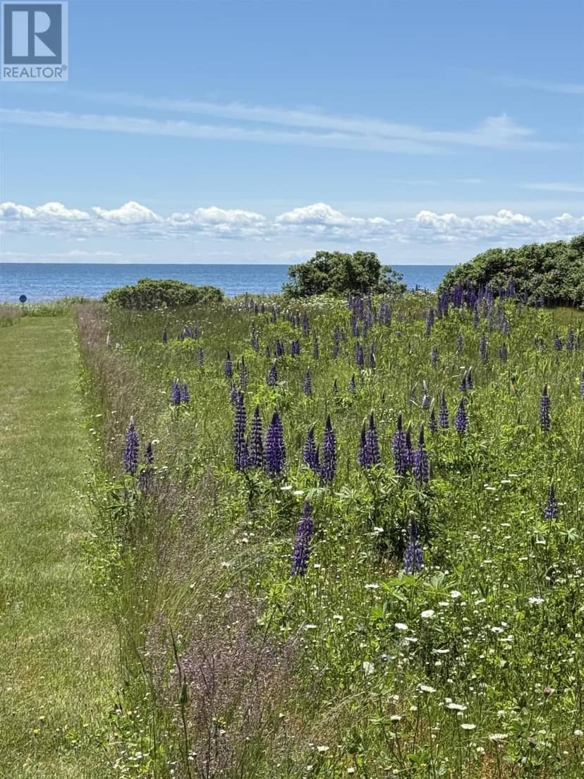 7 Acres Ince Drive - Hampton Beach — photo 12 of 40