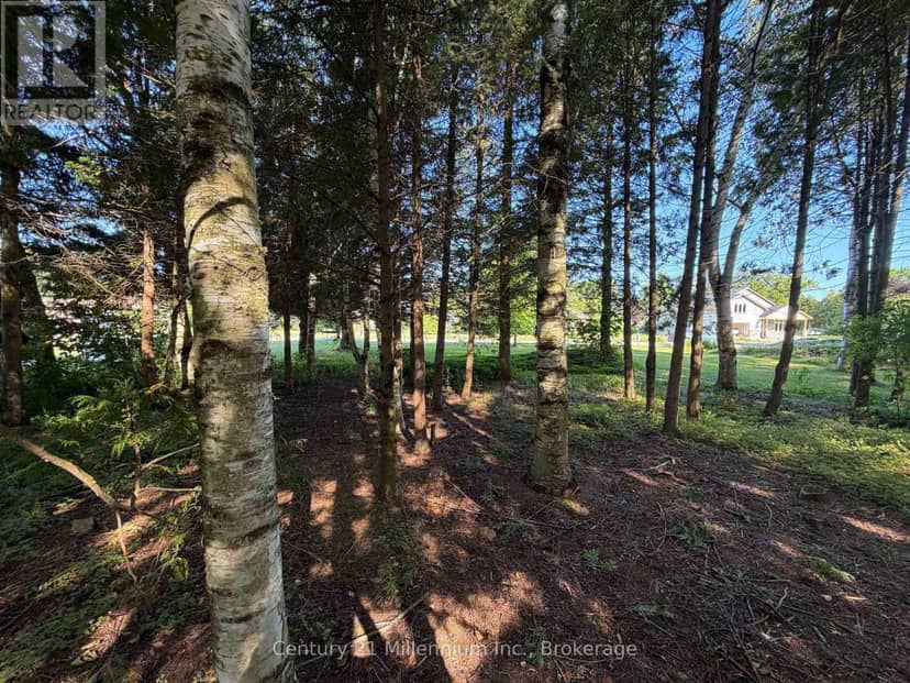 Parts 5 & 6 Kovac Lane, Saugeen Shores, photo 2