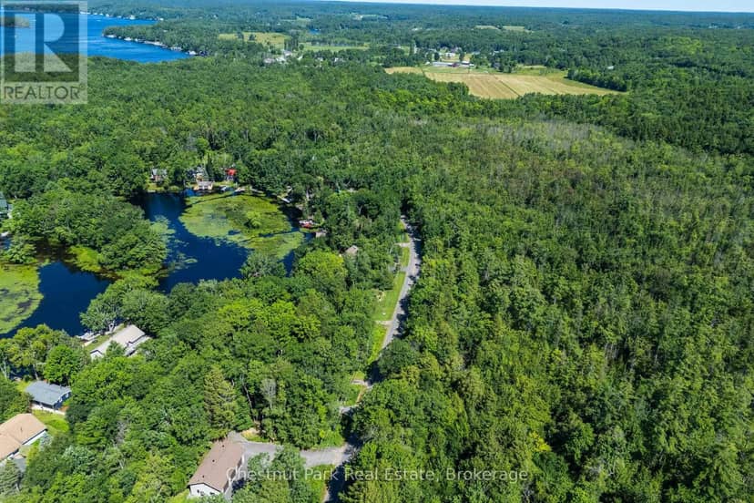 1461 Golden Beach Road, Bracebridge, photo 4