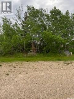 RM of Buchanan Acreage — photo 18 of 27