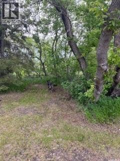 RM of Buchanan Acreage — photo 22 of 27