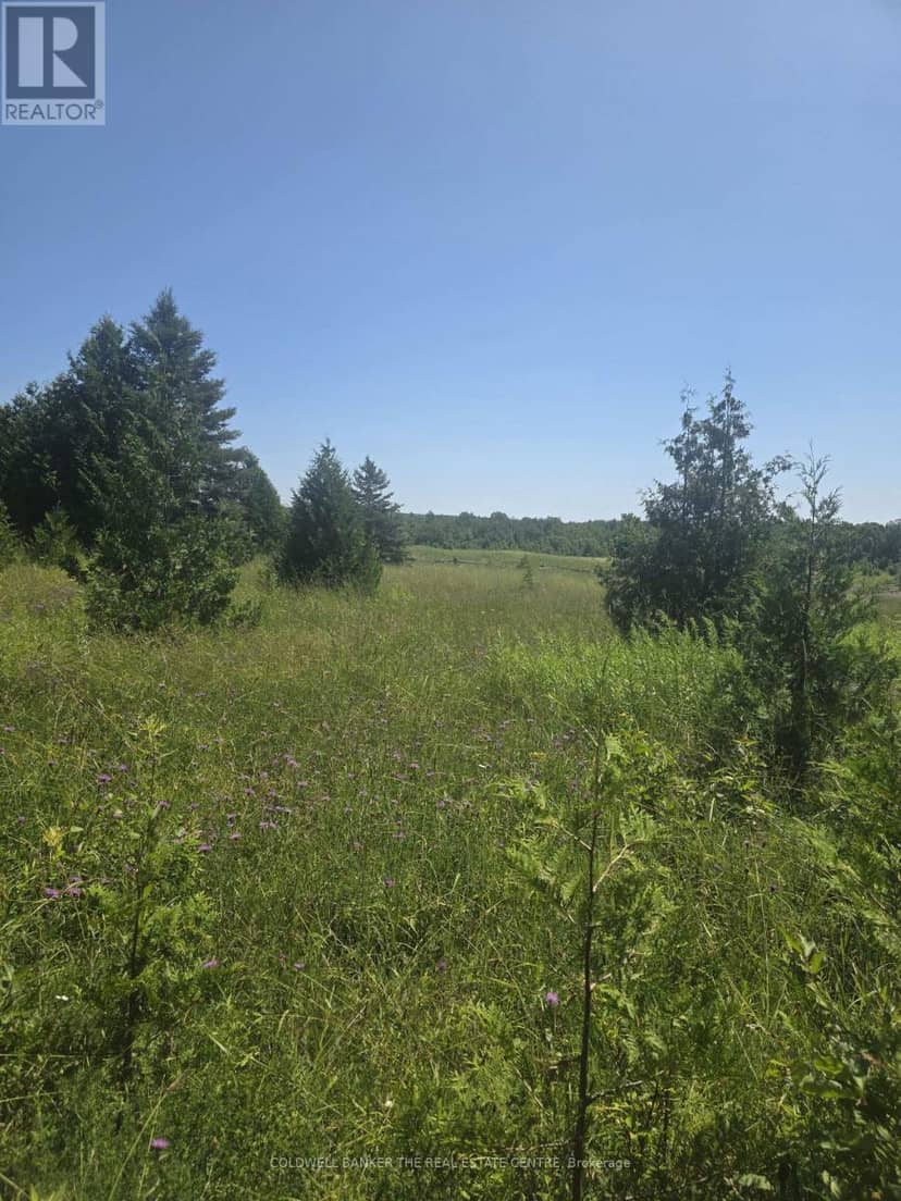 N/A Government Rd Acres W, Tehkummah, photo 3