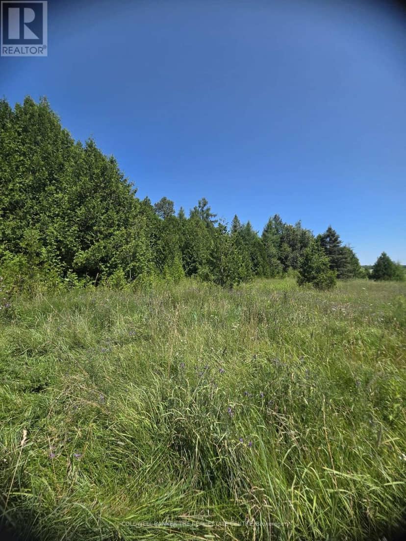 N/A Government Rd Acres W, Tehkummah, photo 7