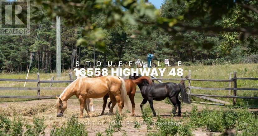 16558 Highway 48 — photo 1 of 40